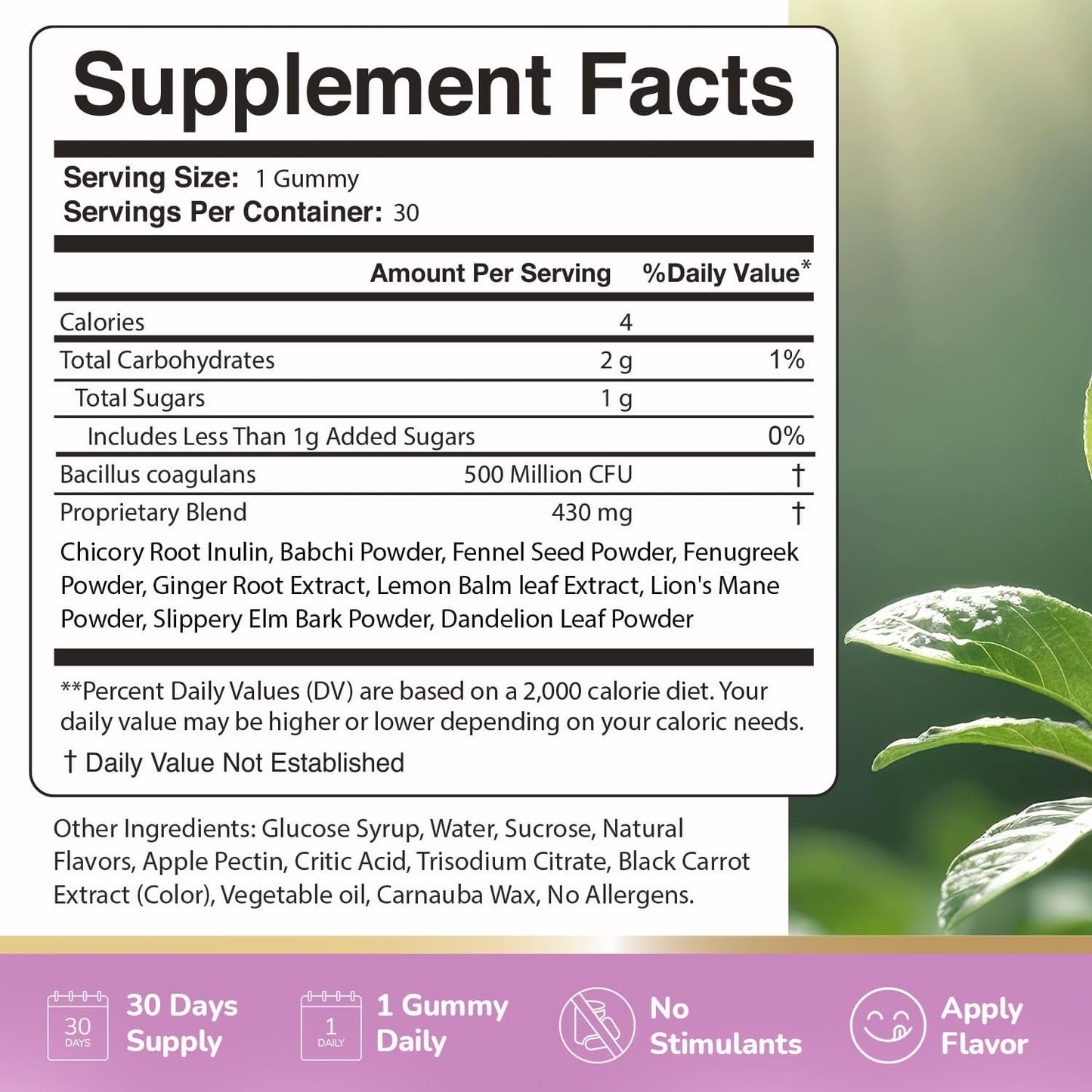 Neotonics Probiotic Gummies – Botanical Blend – 30 Ct, 1 Month Supply | Chewable probiotic gummy with Bacillus Coagulans, prebiotic inulin & botanicals | Non-GMO, Stimulant-Free | Daily gummy