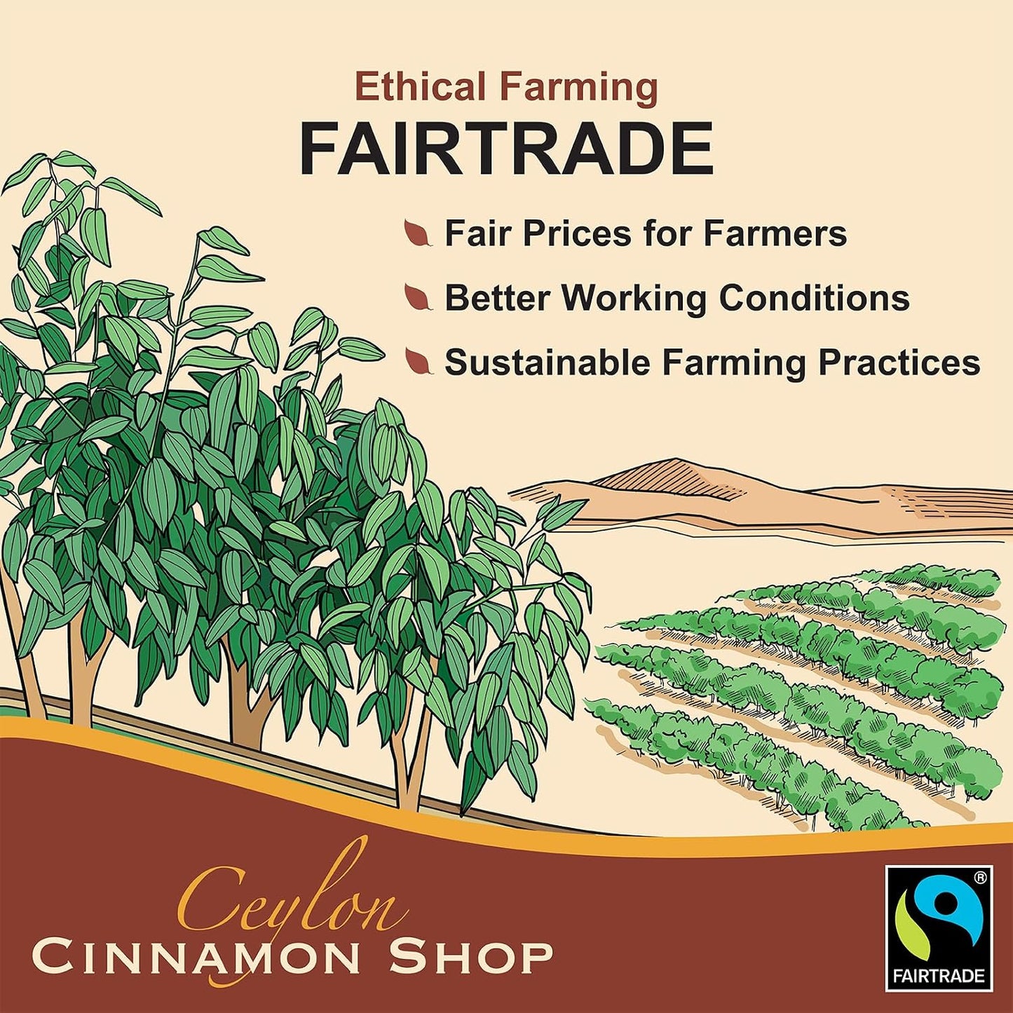 Organic Ceylon Cinnamon Bark Essential Oil, Food Grade - 1 Oz (30mL) | Premium Grade True Cinnamon Oil, Sri Lankan Variety, Cinnamomum Verum, All-Natural, Non-GMO, Gluten Free, Made in USA (GMP)