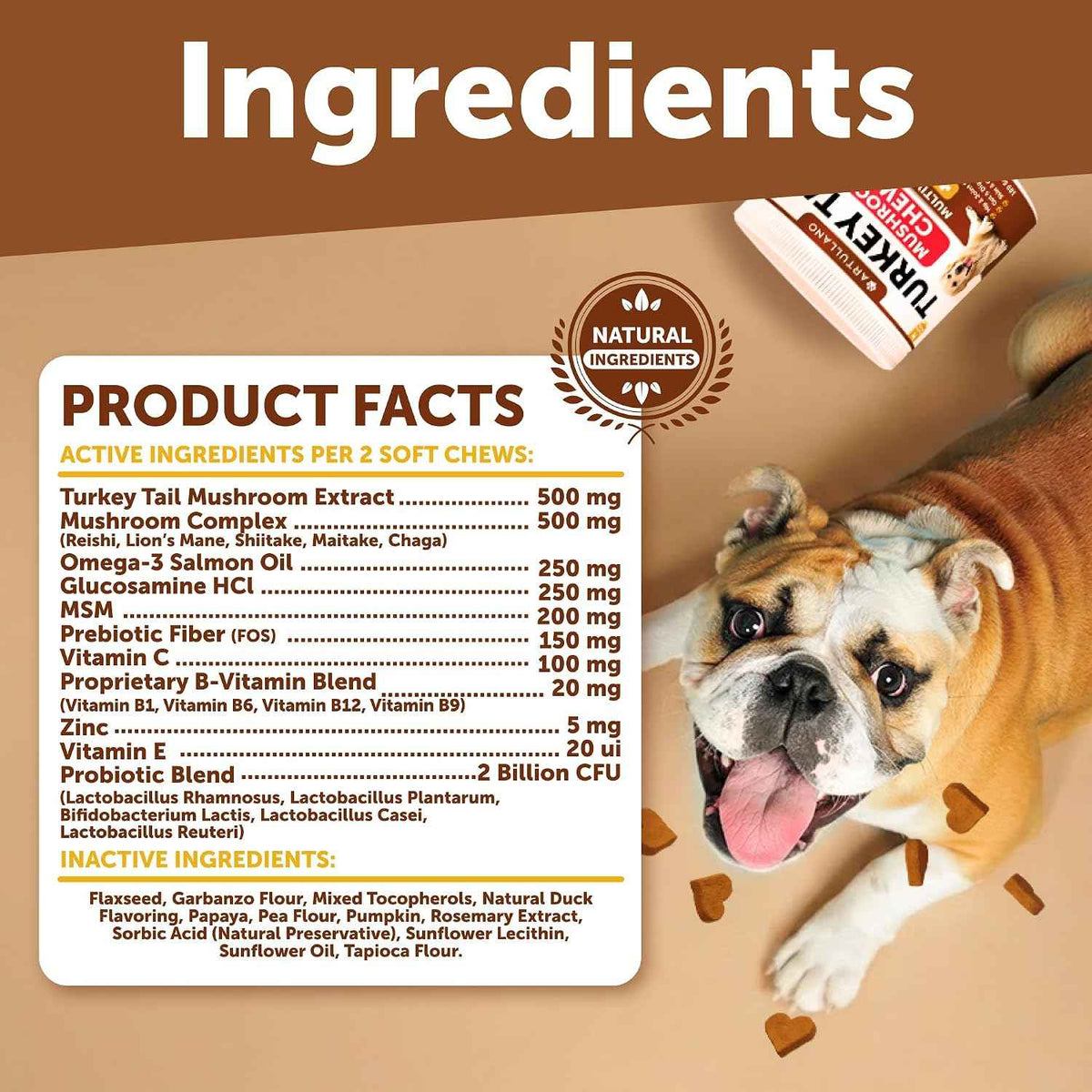 Turkey Tail for Dogs, Mushroom Supplement for Canine - 180 Soft Chews - All Dog Breeds and Ages - Multivitamins