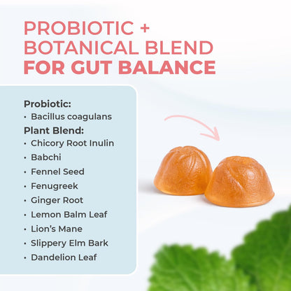 PrimeBiome Gummies – Inulin, Lion's Mane & Ginger – 30 Ct, 1 Month Supply | Prebiotic Inulin, Lion's Mane & Ginger | Non-GMO, No Stimulants, GMP Certified | Chewable daily gummy