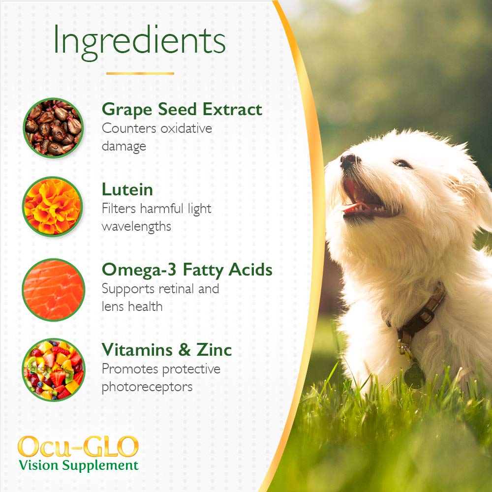 Vision Supplement for Medium to Large Dogs, 11+ lb, 90 Count | Veterinarian-Formulated Supplement Specifically Supports Eye Health; Unflavored & Easy to Give