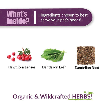 Amber NaturalZ Hawthorn & Dandelion for Pets, Heart & Circulation Care, 1oz | Maintains optimal cardiovascular wellness in pets. Supports normal heart function, healthy blood circulation & fluid balance.