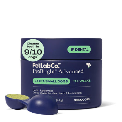 PetLab Co. ProBright Advanced Dental Powder, Small Dogs, 30 Scoops | Three-Time Award-Winning* formula shown to support tartar reduction and fresh breath in 28 days, One scoop daily