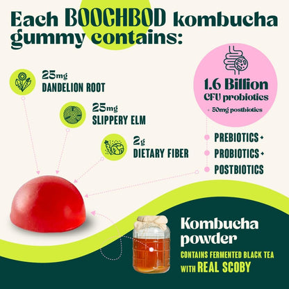 BoochBod - Probiotic Kombucha Gummy - Prebiotics, Probiotics, Postbiotics, Fiber Supplement, Slippery Elm, Dandelion Root, for Bloating, Gut Health - for Women and Men - 4X Bundle & Save