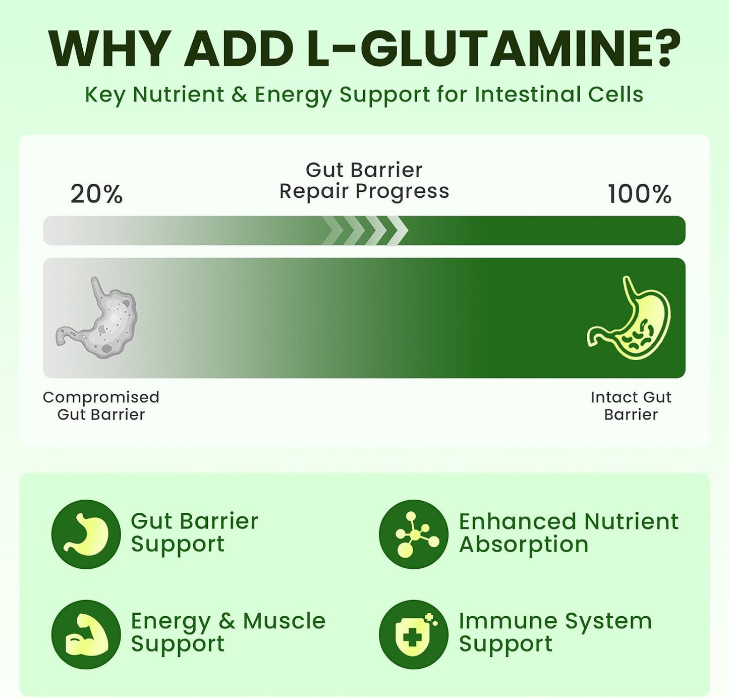 Wormwood Black Walnut Soursop Drops - Gut Health with L-Glutamine | Gentle Intestinal Cleanse & Digestive Health – with Prebiotics & Zinc for Mood Immune & Energy – Vegan Gluten-Free