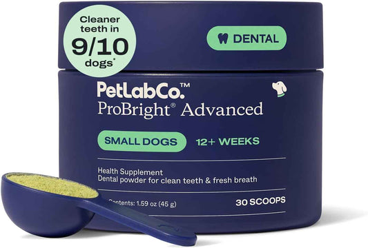 PetLab Co. ProBright Advanced Dental Powder, Small Dogs, 30 Scoops | Three-Time Award-Winning* formula shown to support tartar reduction and fresh breath in 28 days, One scoop daily