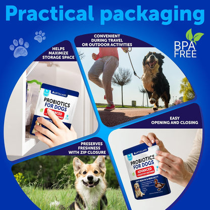 Probiotics for Dogs - Support Gut Health, Itchy Skin, Allergies, Immunity, Yeast Balance - Dog Probiotics and Digestive Enzymes with Prebiotics - Reduce Diarrhea, Gas - 120 Probiotic Chews for Dogs