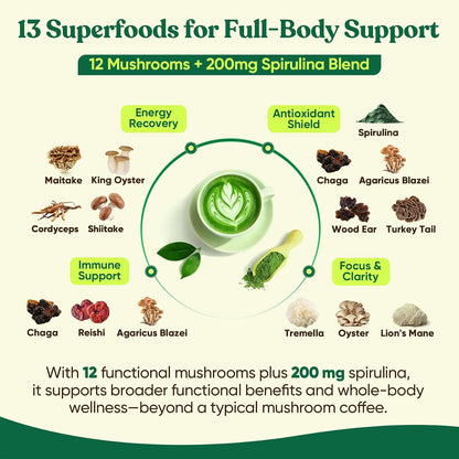 Venture Pal Mushroom Matcha Powder – 13 Superfood Mushroom Coffee Alternative with Ceremonial Grade Matcha Powder, 1.5B Probiotics for Focus, Energy & Digestion