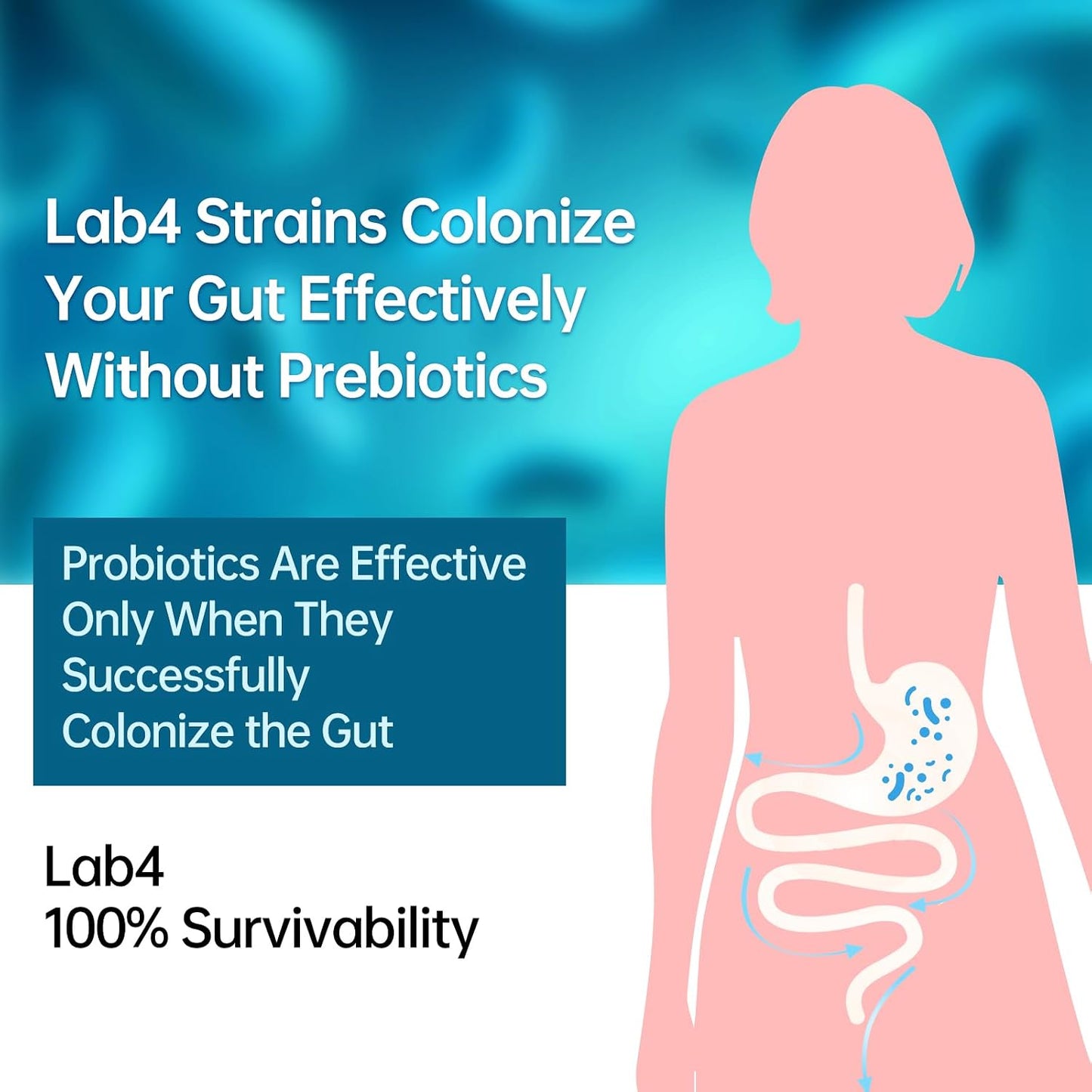 purmeo Probiotic for Stomach, Gut and Immune Health