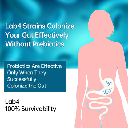 Probiotic Supplement for IBS, Bloating, Gas, Digestive, Gut & Immune Health