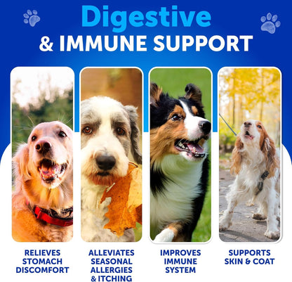 Probiotics for Dogs - Support Gut Health, Itchy Skin, Allergies, Immunity, Yeast Balance - Dog Probiotics and Digestive Enzymes with Prebiotics - Reduce Diarrhea, Gas - 120 Probiotic Chews for Dogs