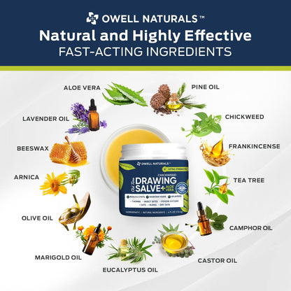 Owell naturals Chickweed Drawing Salve with Aloe Vera for boils, Cyst, Splinters, Poison Ivy/Oak, Skin Disorder, Irritations, Burns, Minor Cuts, Dry Skin, Itching
