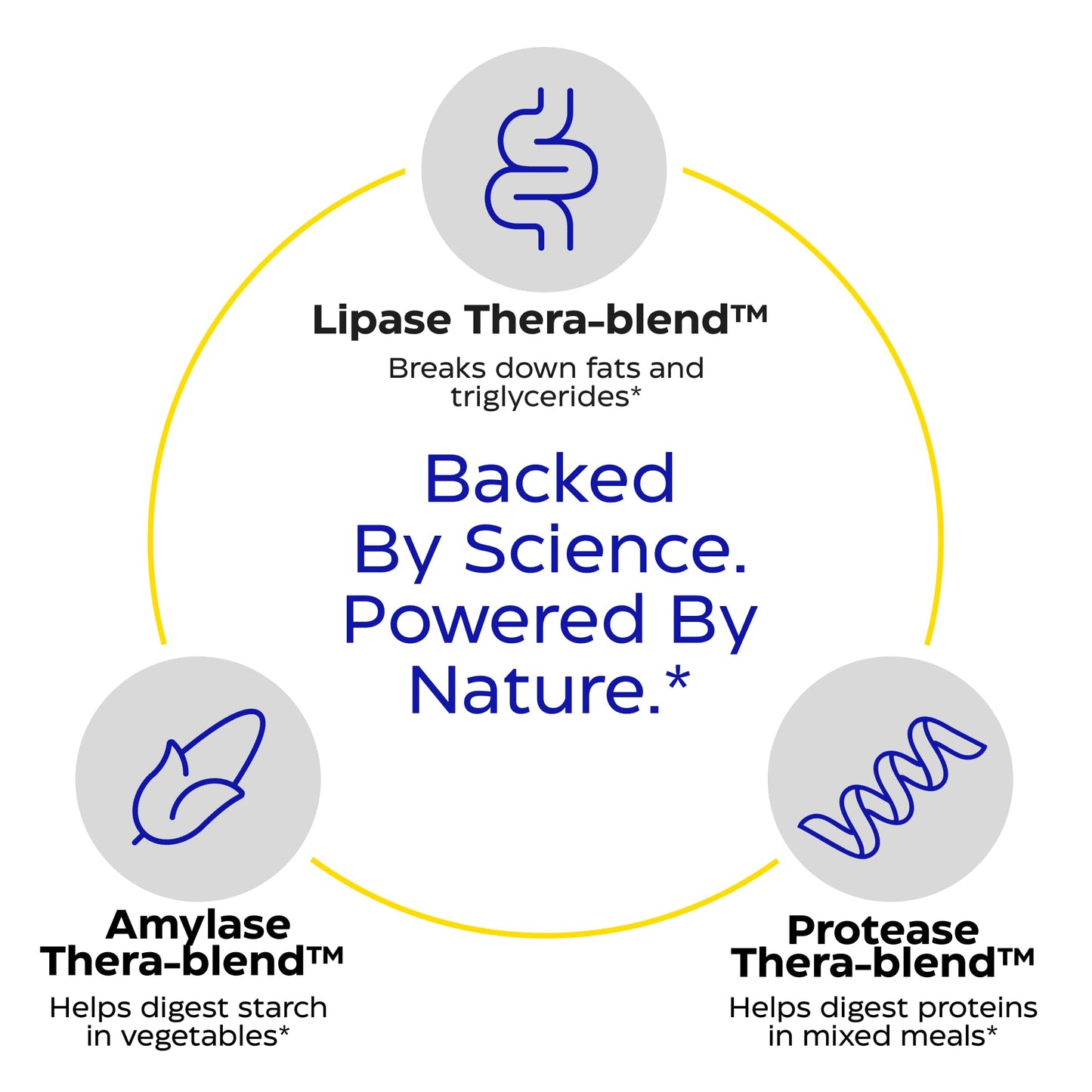 Enzymedica Lypo Gold - Protease, Amylase & Lipase Digestive Enzymes for Women & Men, Enzyme Supplement for Fat Digestion, Gut Health & Gallbladder Support, Helps Gas & Bloating, Gluten Free - 60 Caps