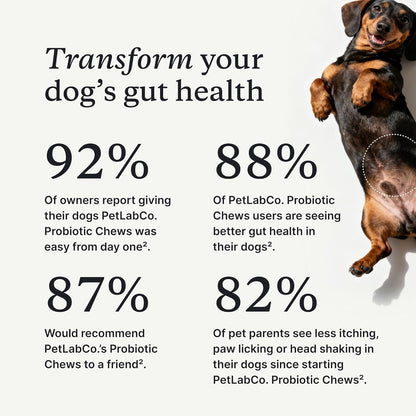 PetLab Co. Probiotic Chews for Dogs, 30 Soft Chews, 2-Pack | 8-strain probiotic blend with prebiotics to support digestive health, skin and seasonal allergy support