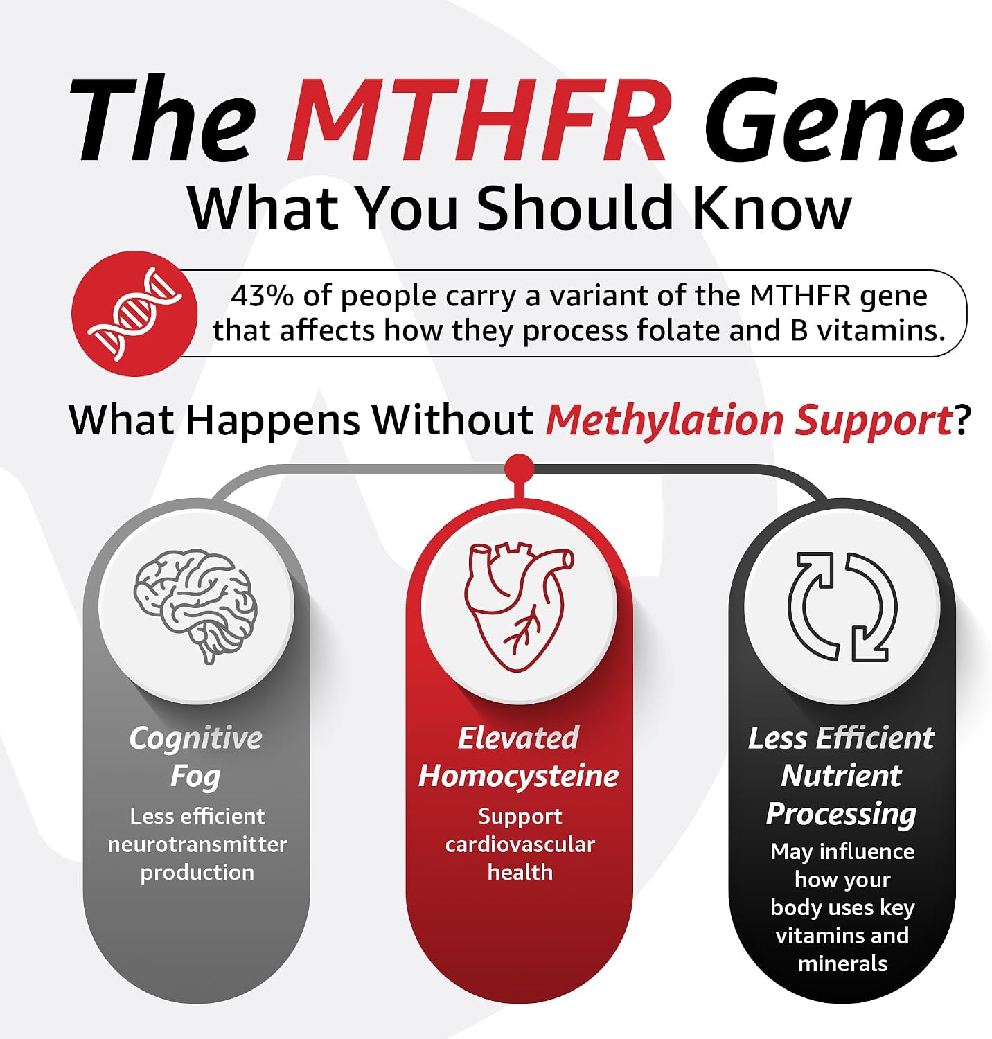 10X Health 5 Mthf - 60 Capsules | L Methylfolate: Methylated Folate & Magnesium, Brain & DNA Support, Bioavailable