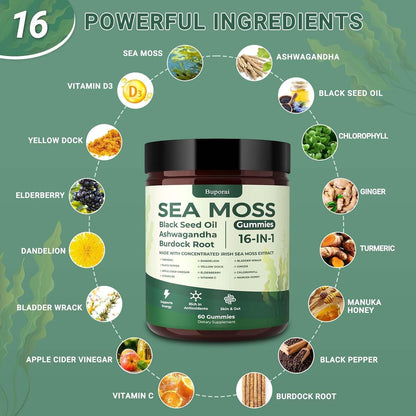 Sea Moss Gummies 16-1, Black Seed Oil Ashwagandha Turmeric Bladder Wrack Vitamin C Vitamin D3 Elderberry Manuka Dandelion Yellow Dock Apple Cider Vinegar for Men & Women