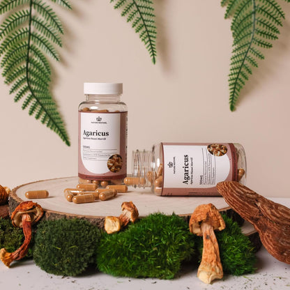 Nature Restore Agaricus Blazei Murill Mushroom Extract Capsules. Standardized High Polysaccharides for Advanced Cellular & Immune Support. Bioavailable Fruiting Body, 100% Vegan
