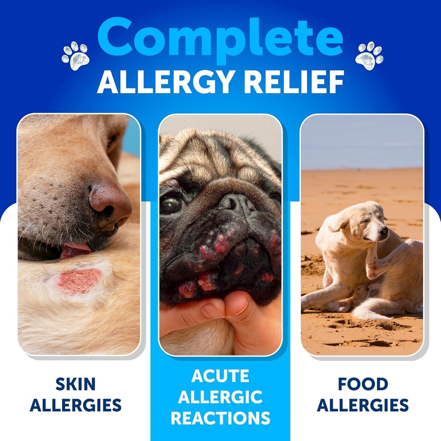 Probiotics for Dogs - Support Gut Health, Itchy Skin, Allergies, Immunity, Yeast Balance - Dog Probiotics and Digestive Enzymes with Prebiotics - Reduce Diarrhea, Gas - 120 Probiotic Chews for Dogs
