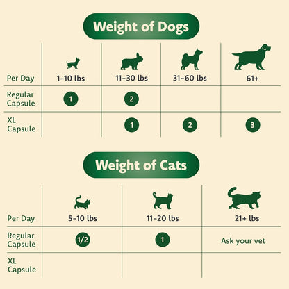PB Vision Supplement for Small Dogs & Cats – Easy to Administer Powder Blend with Lutein, Omega-3 Fatty Acids, Grape Seed Extract and Antioxidants to Promote Eye Health, 30ct Sprinkle Capsules