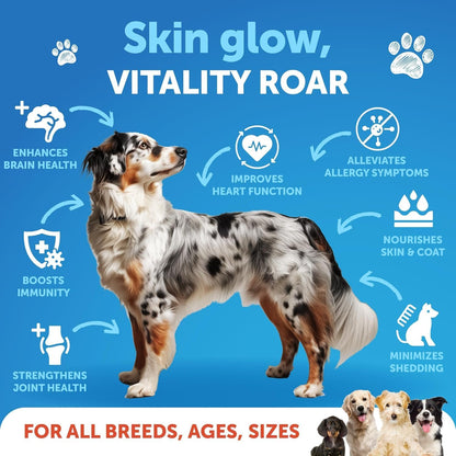 Dog Probiotic Chews + Salmon Oil Bundle - Probiotics & Prebiotics for Gut Health, Immunity, Yeast Balance, Reduces Diarrhea - Omega 3 with EPA & DHA for Skin, Coat, Joint & Allergy Support