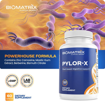 BioMatrix H Pylori Supplement, Mastic Gum, Berberine, Zinc Carnosine & Bismuth Salts, Probiotic Alternative, Gut Formula, 120 Capsules, 30-60 Day Supply