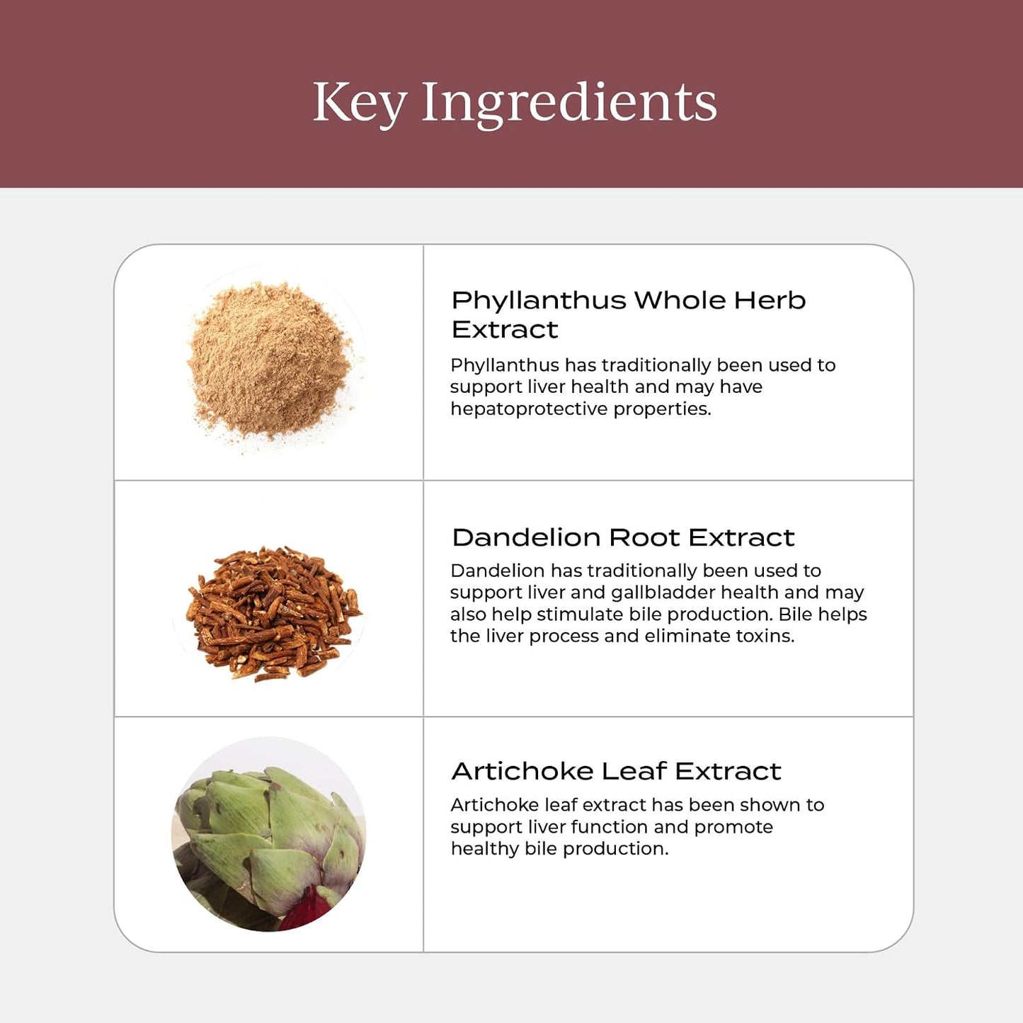 CYMBIOTIKA Liver Health+ for Liver Support, Detox & Digestion