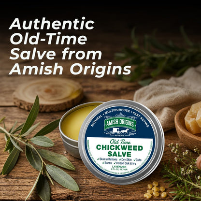 Amish Origins Old Time Chickweed Salve 2 oz- The Ultimate Poison Ivy/Poison Oak Blocker, Healing Salve for Skin Disorder, Irritations, Burns, Minor Cuts