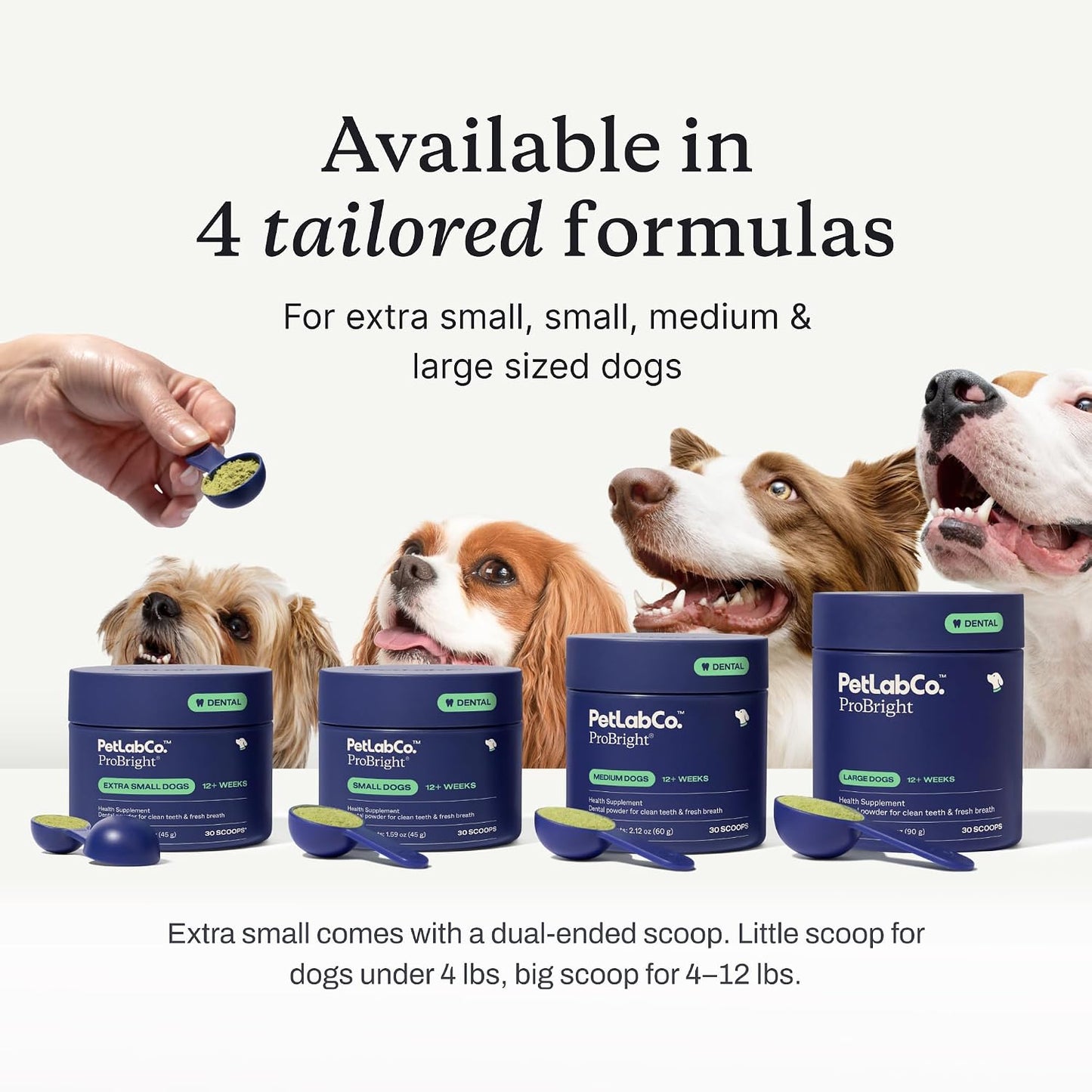 PetLab Co. – Fresh Breath Bundle: Dental Powder for an Effortless Deep Clean in 1 Scoop for Small Dogs & Dog Mouthwash to Support Overall Oral Hygiene - Easy to Use – Innovative Formulas