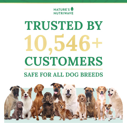 Pawbiotix Liquid Probiotics for Dogs – 1oz, 1 Month Supply | Liquid probiotic drops for dogs, Beacon flavor | Original formula | Add to food or water, easy daily dose