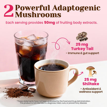 Venture Pal Mushroom Coffee, 12 Mushrooms, Focus & Digestion, 40 Servings | 12 Adaptogenic Mushrooms with Lion's Mane, Cordyceps, Reishi, Turkey Tail, Ashwagandha & Probiotics, Low Caffeine & Calories