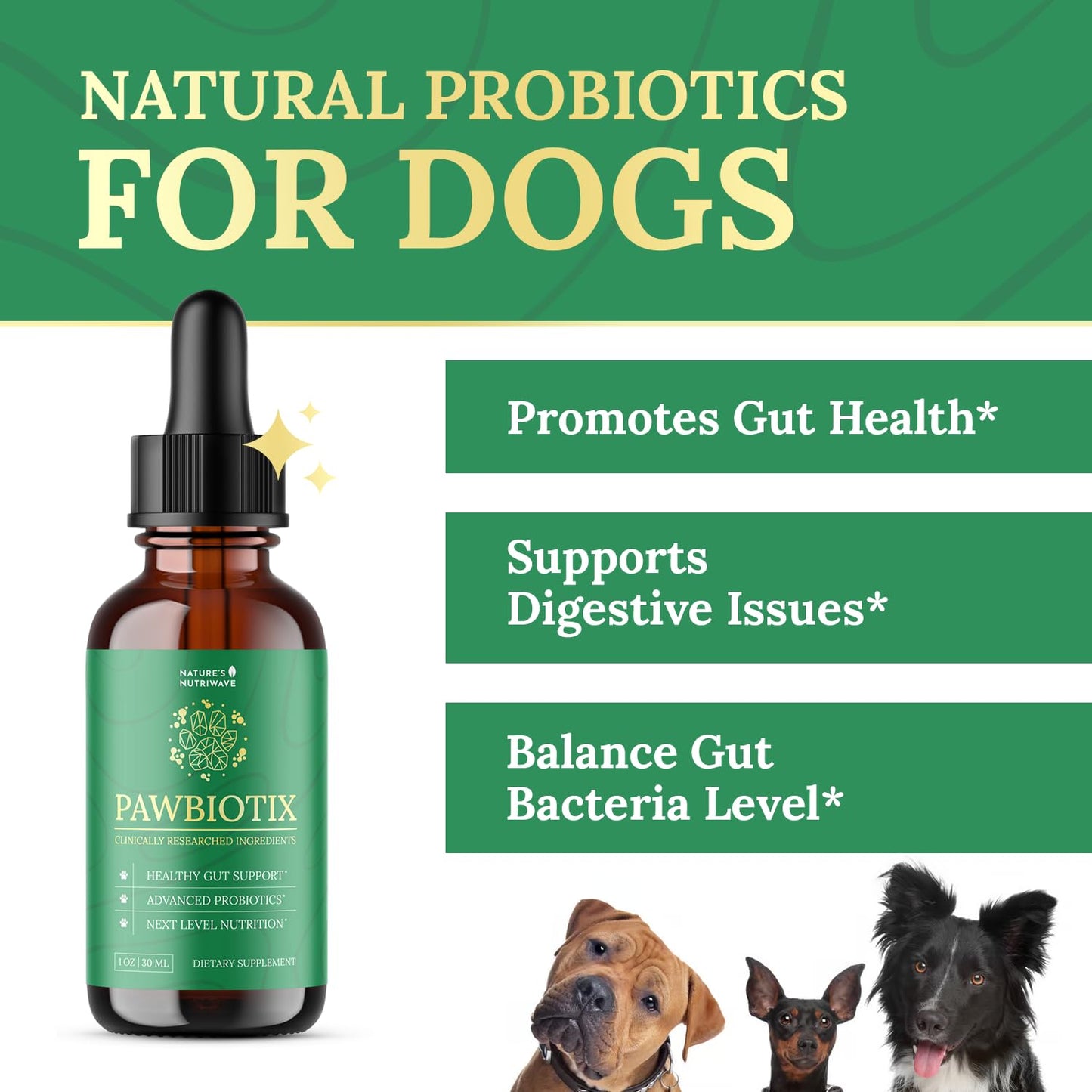 Pawbiotix Liquid Probiotics for Dogs – 1oz, 1 Month Supply | Liquid probiotic drops for dogs, Beacon flavor | Original formula | Add to food or water, easy daily dose