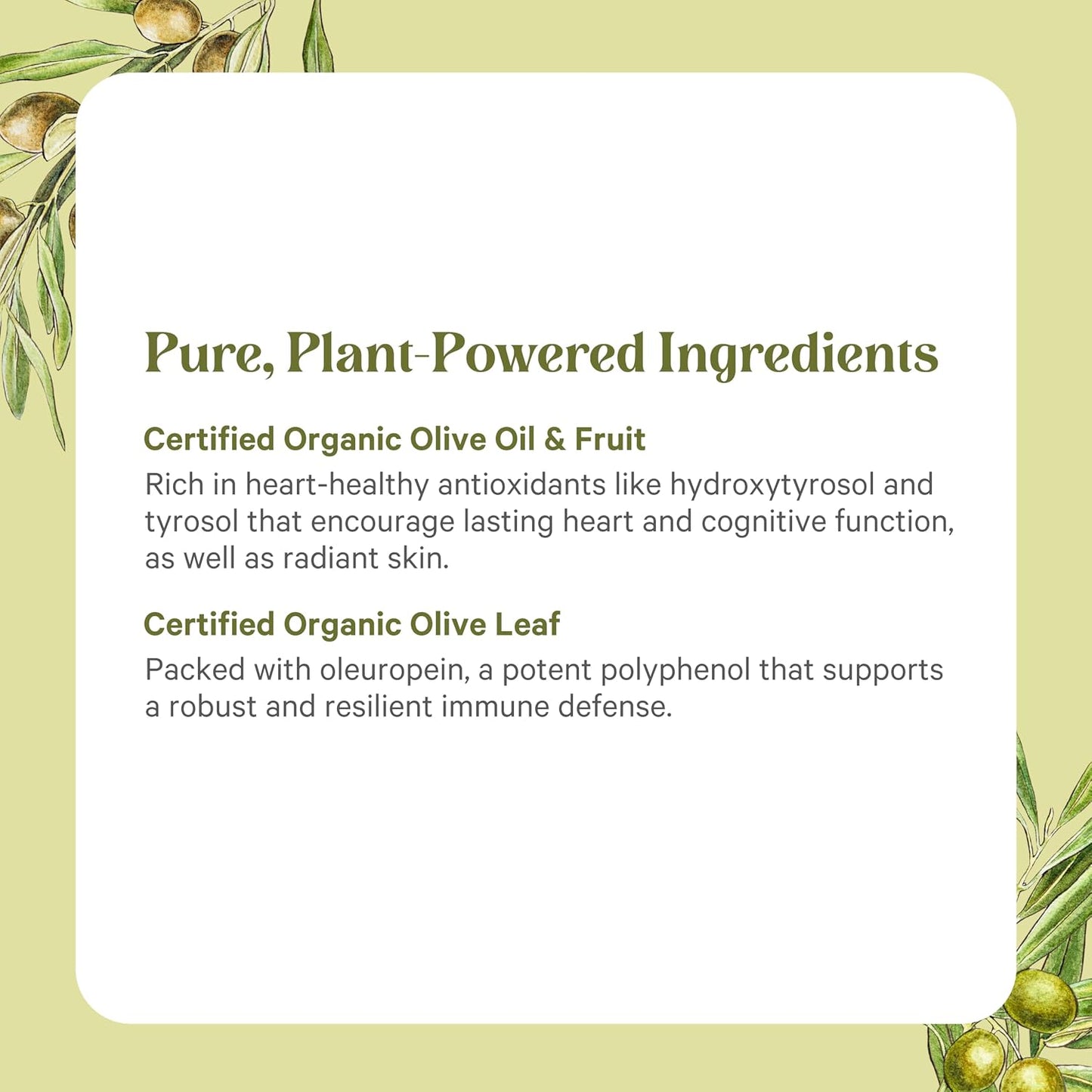 PURE SYNERGY SuperPure Olive Extract | Organic Olive Leaf, Oil, and Fruit Supplement with Polyphenols | for Heart, Brain, and Immune Health (60 Capsules)