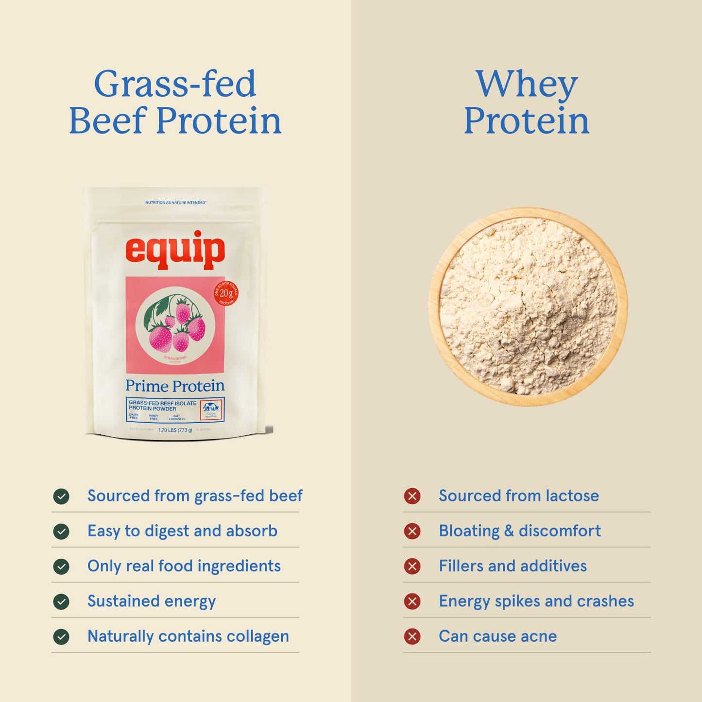 Equip Prime Chocolate Protein Powder - Gut-Friendly, No Sugar Protein Shake Powder with Grass-Fed Beef & Natural Collagen - Rich & Creamy Mix - 21g Per Serving - Whey & Dairy-Free (30 Scoops)
