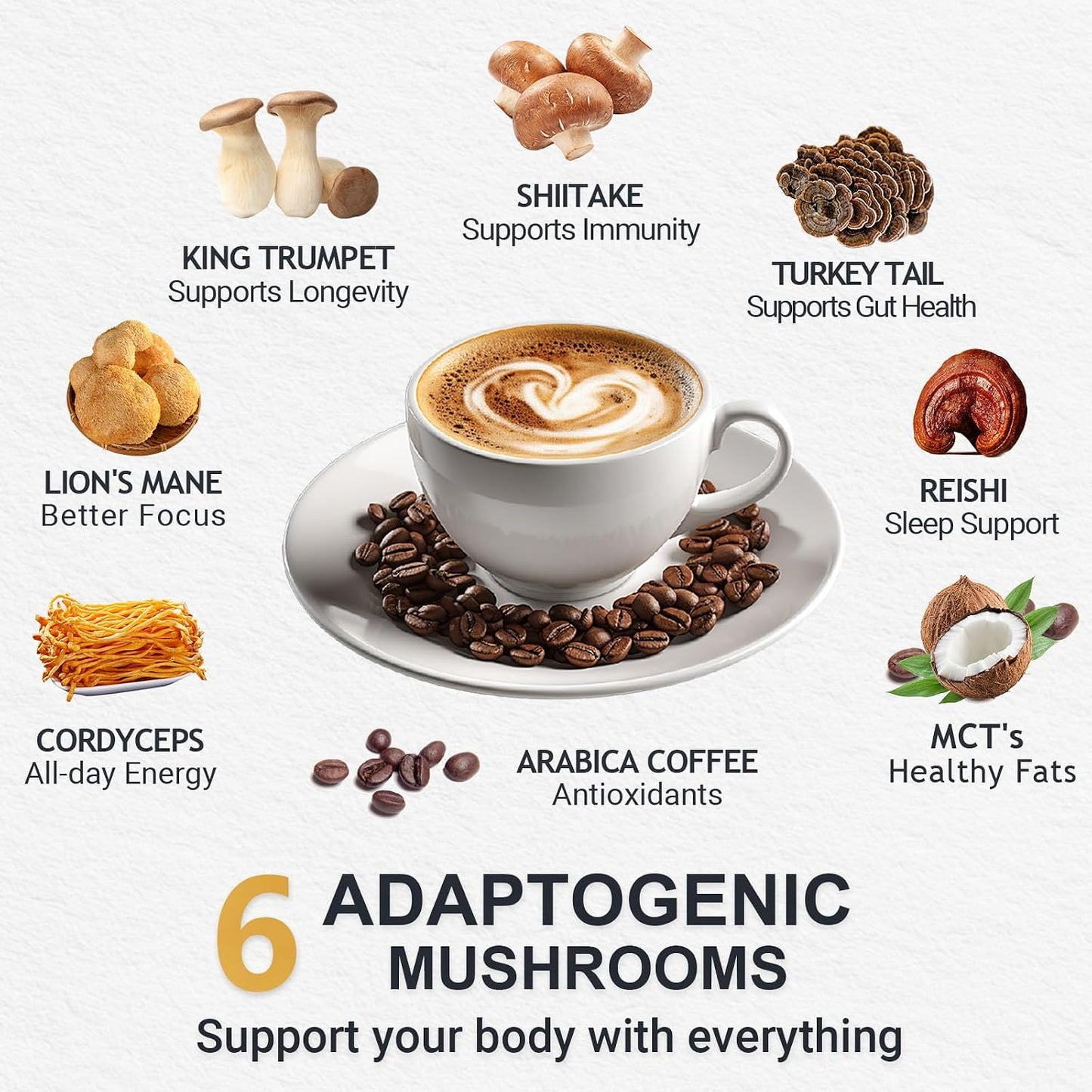 Mushroom Coffee Dark Roast +Medium Roast