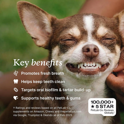 PetLab Co. ProBright Dental Powder - Dog Breath Freshener - Teeth Cleaning Made Easy – Targets Tartar & Bad Breath - Formulated for Medium Size Dogs - Pack of 2