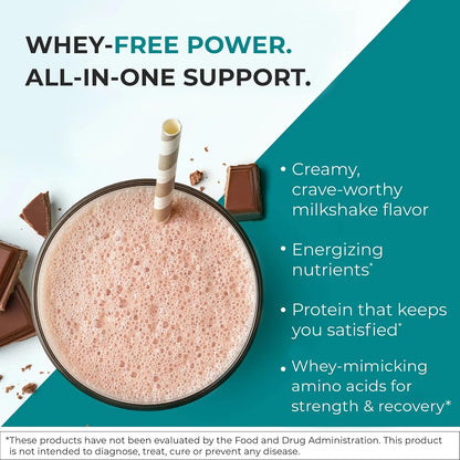 Reignite Wellness by JJ Virgin SHEatine Powder (Unflavored) and Bone Broth All-in-One Shake (Chocolate)