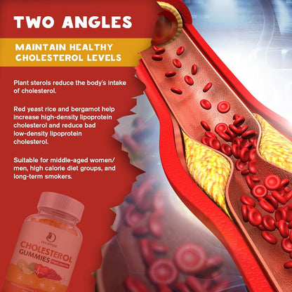 (2 Pack) Cholesterol Supplements Gummies for Cholesterol Healthy, Plant Sterols & Stanols, Red Yeast Rice, Citrus Bergamot Complex for Cholesterol, Maintain Healthy Cholesterol Levels - 60 Day Supply