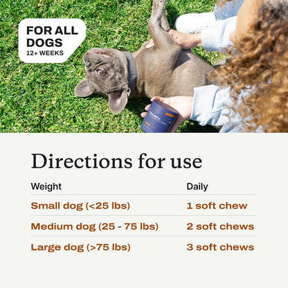 PetLab Co. Ear & Coat Support Bundle: Support Ear Health & Hygiene with Our Dog Ear Cleaner 4 Ounces & Itch Relief Chews Designed to Support Optimum Skin Condition & Maintain Skin Health 30 Count