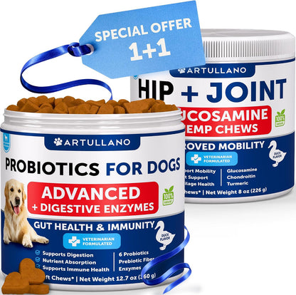 Probiotic Chews for Dogs - Supplement Bundle - Gut Health, Immunity, Yeast Balance - Glucosamine, Chondroitin, MSM