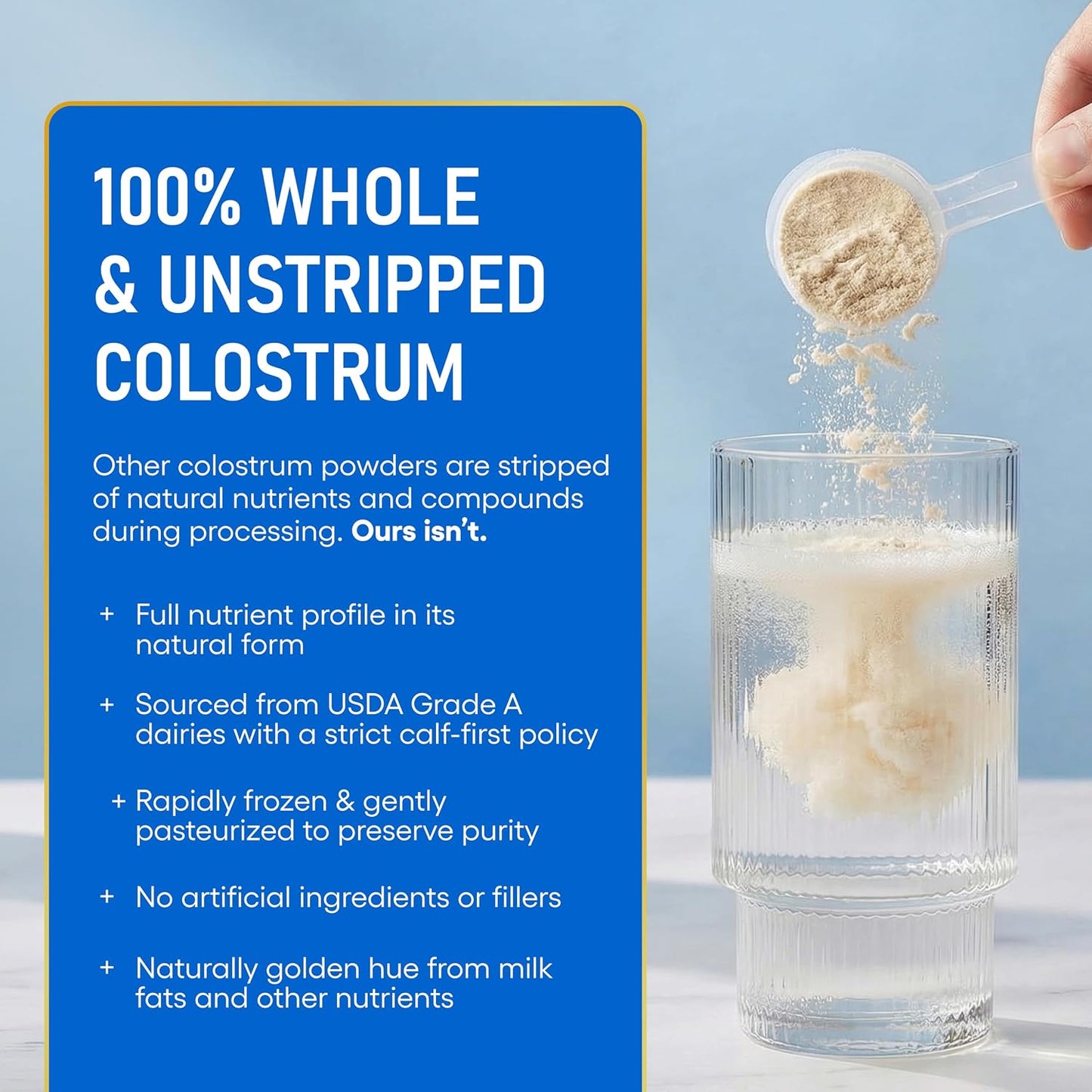 Physician's CHOICE Colostrum Gold Powder - First-Day Milking for Gut & Immune Support - Potent IgG Antibodies & Bioactive Nutrients - Whole & Unstripped - Easy to Mix - Made in the USA - 60 Servings