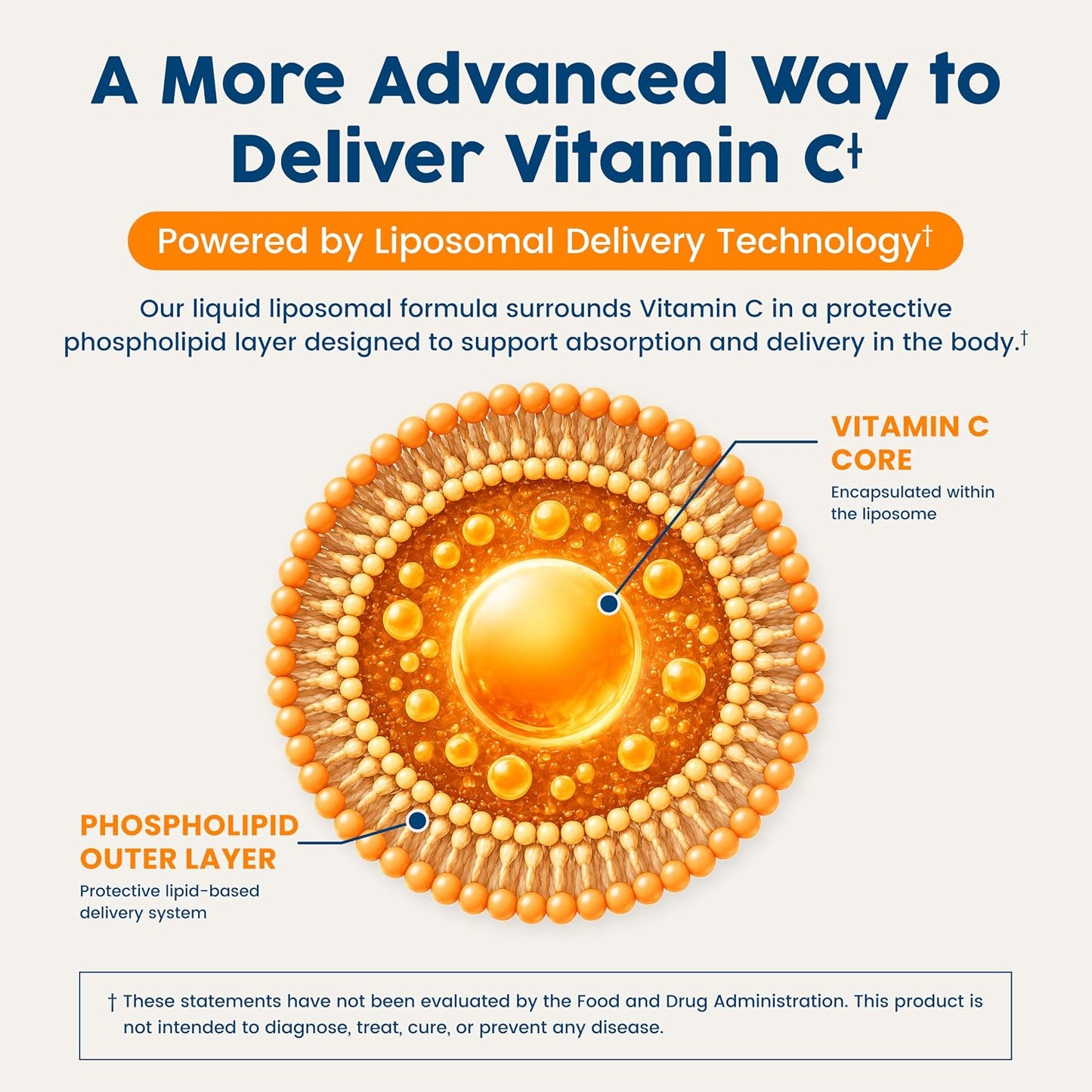NativePath Liposomal Vitamin C 500mg, Orange, 30 Servings | From Whole-Food Amla, High Absorption Antioxidant, Supports Collagen Production, Soy-Free Liquid, Non-GMO