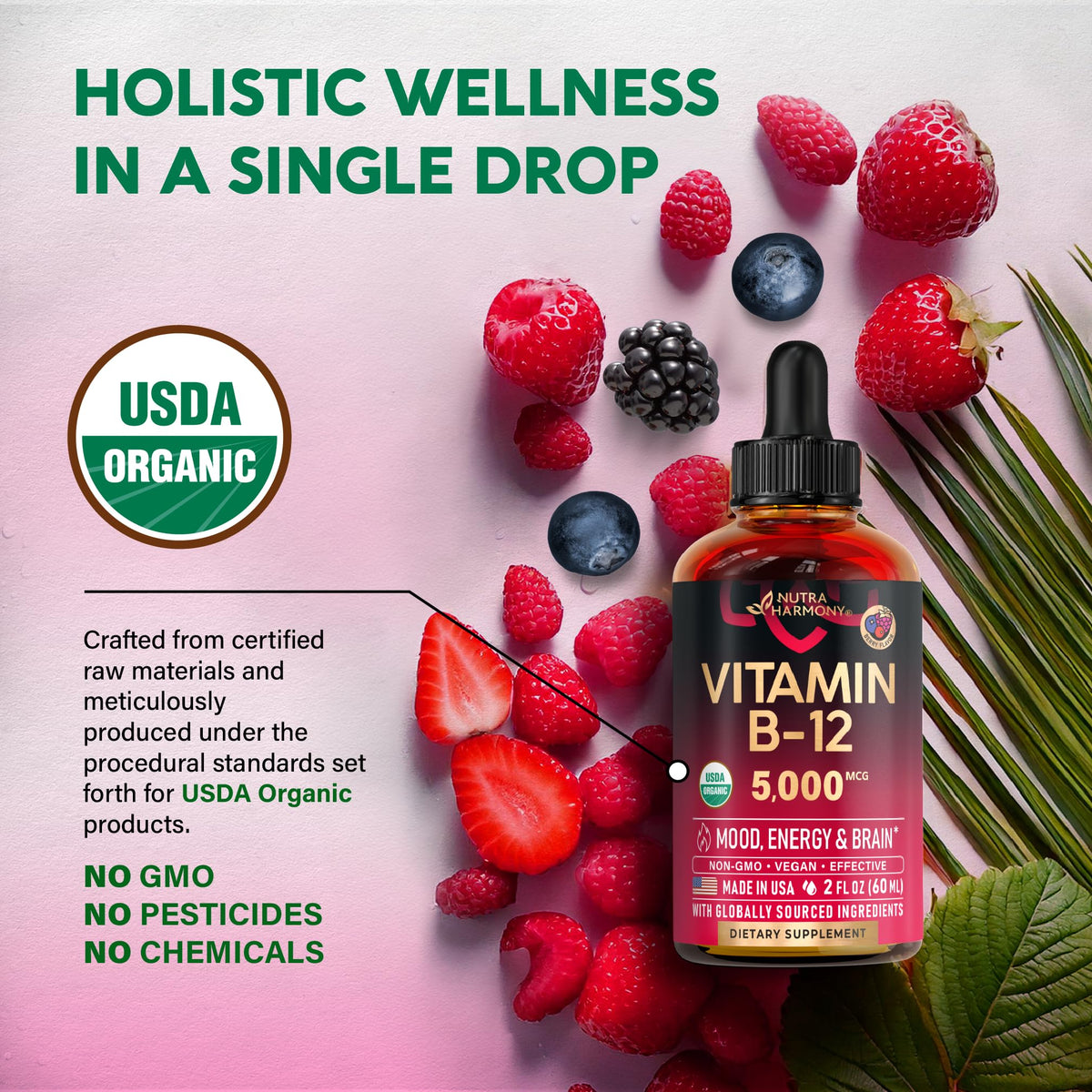 USDA Organic Vitamin B12 Sublingual Drops - 5000 mcg Liquid Vegan Methylcobalamin for Women & Men - Energy Boost, Focus & Mood, Brain Health Support - Maximize Absorption - 2 Month Supply, 2 fl oz
