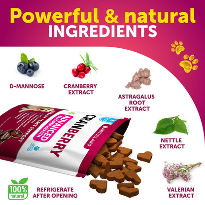 Dog Multivitamin Chewable with Glucosamine 26 in 1 - Dog Vitamins and Supplements - Senior & Puppy Multivitamin for Dogs - Pet Joint Support Health - Immunity, Mobility, Gut Skin - 120 Chews