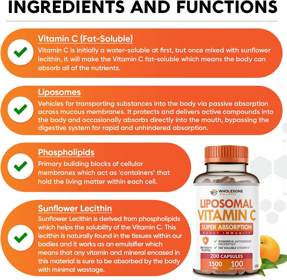 Wholesome Wellness Probiotics for Women 100 Billion CFUs with Prebiotics, Digestive Enzymes + Liposomal Vitamin C Capsules High Absorption, Ascorbic Acid Supplement Bundle