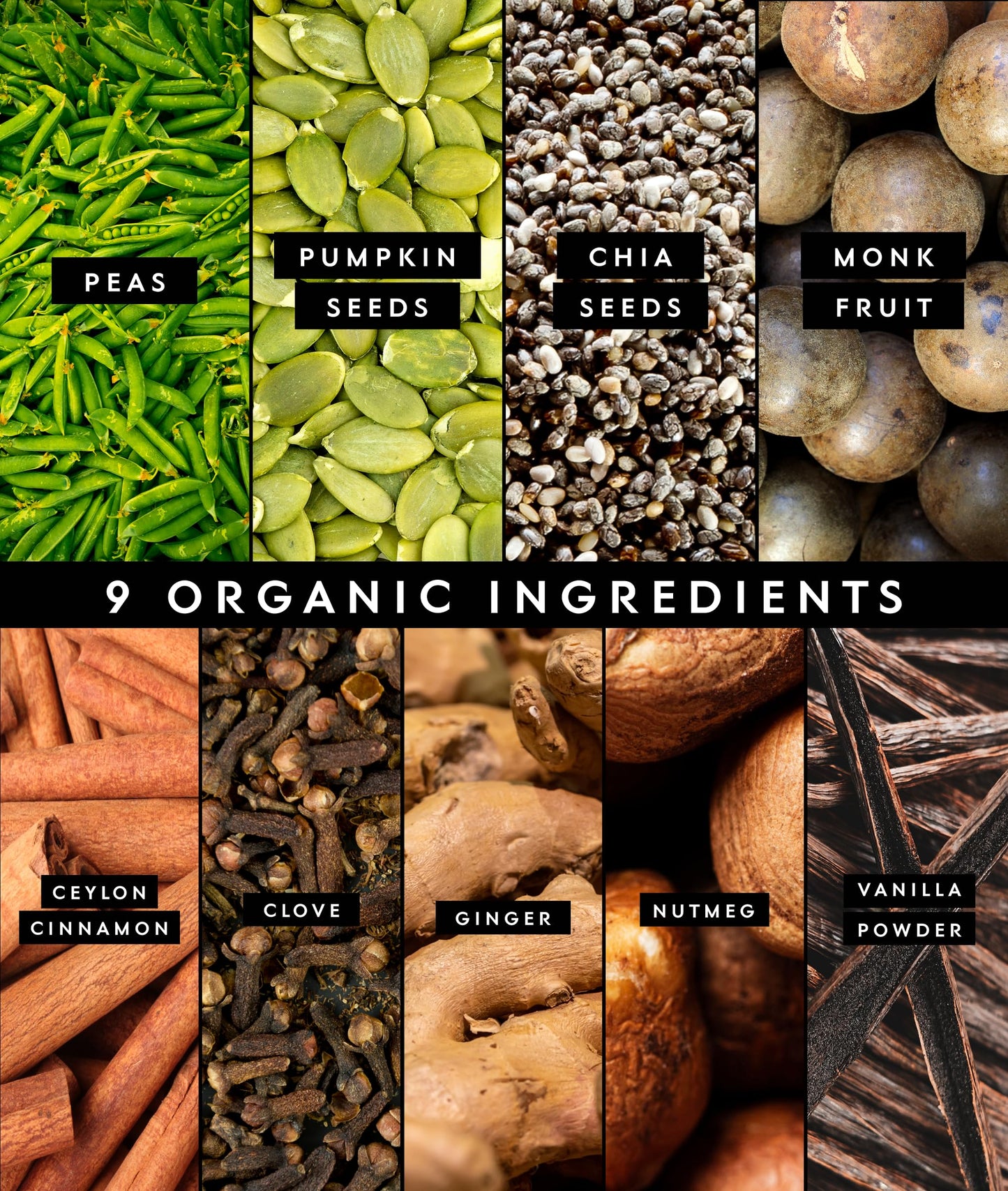 Truvani Organic Plant Based Protein Powder | Vanilla Chai | 10 Servings | Vegan | 20g Pea Protein | Keto | Gluten & Dairy Free | Low Carb | No Added Sugar