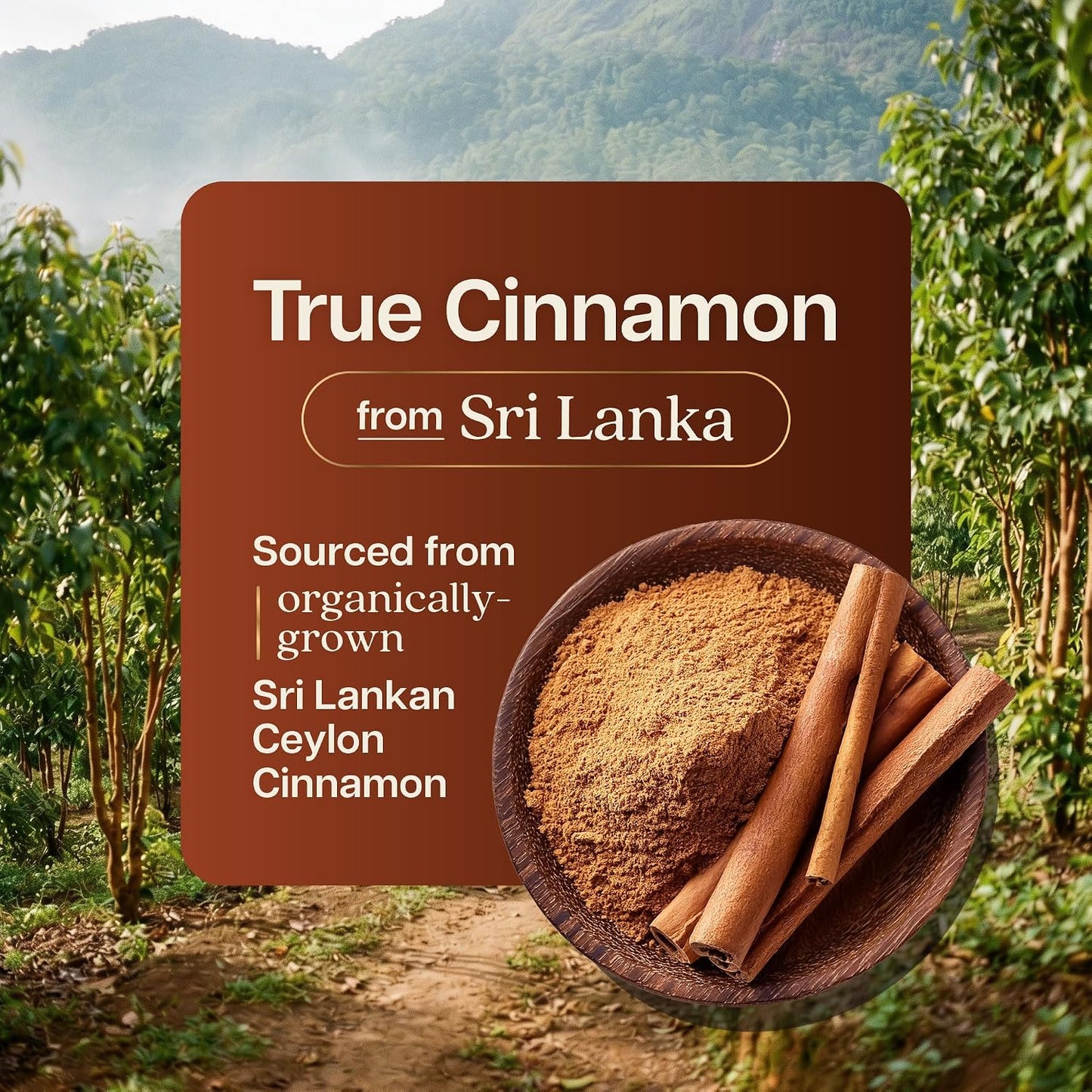 Ceylon Cinnamon Capsules 1500MG, 75 Servings, Powerful Antioxidant Activity | True Sri Lankan Ceylon Cinnamon Supplements, Daily Nutritional Balance Support, Vegan & Non-GMO, 225 Capsules (75 Day Supply)
