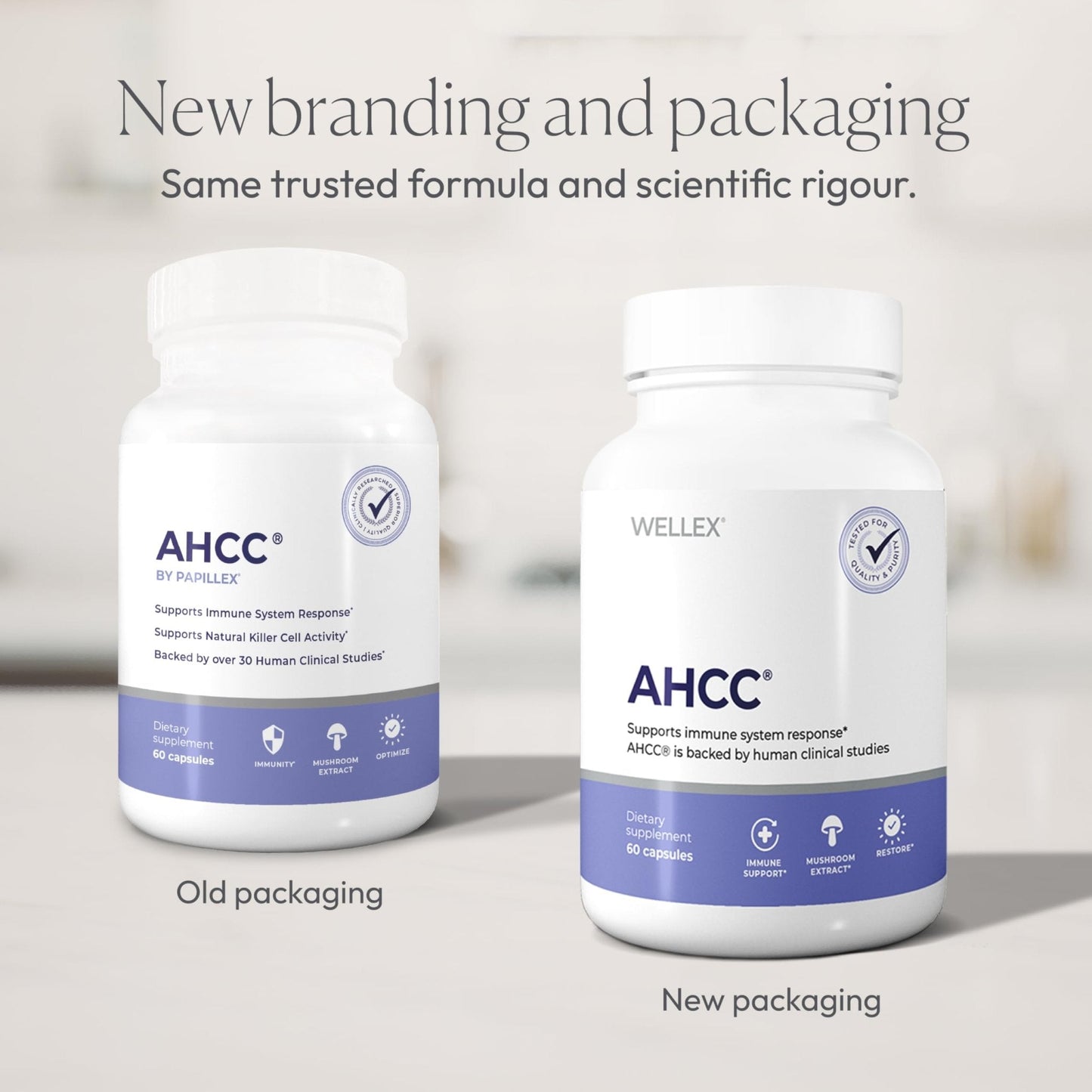AHCC Supplement - Maximum Strength - Natural Immune Support Extract - Maintains Natural Killer Cell Activity - 20+ Human Research Studies - 60 Veggie Capsules (1 Pack) - PrimeBioHealth - canada supplements