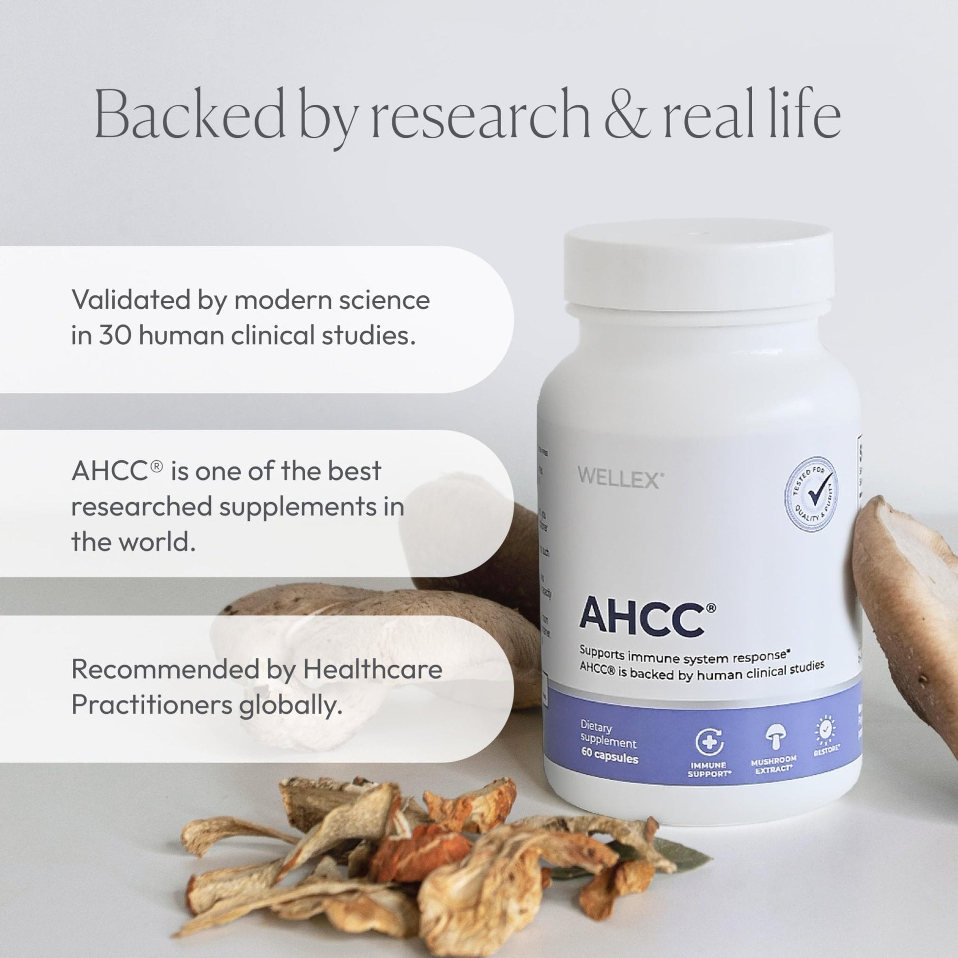 AHCC Supplement - Maximum Strength - Natural Immune Support Extract - Maintains Natural Killer Cell Activity - 20+ Human Research Studies - 60 Veggie Capsules (1 Pack) - PrimeBioHealth - canada supplements