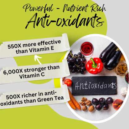 BioImmune 2 Pack Triple Strength AstaQuil™ Astaxanthin 12mg Enhanced Absorption, 120 Softgels w/Organic Coconut Oil. Powerful Antioxidant for Eye, Joint & Heart Health - PrimeBioHealth - canada supplements