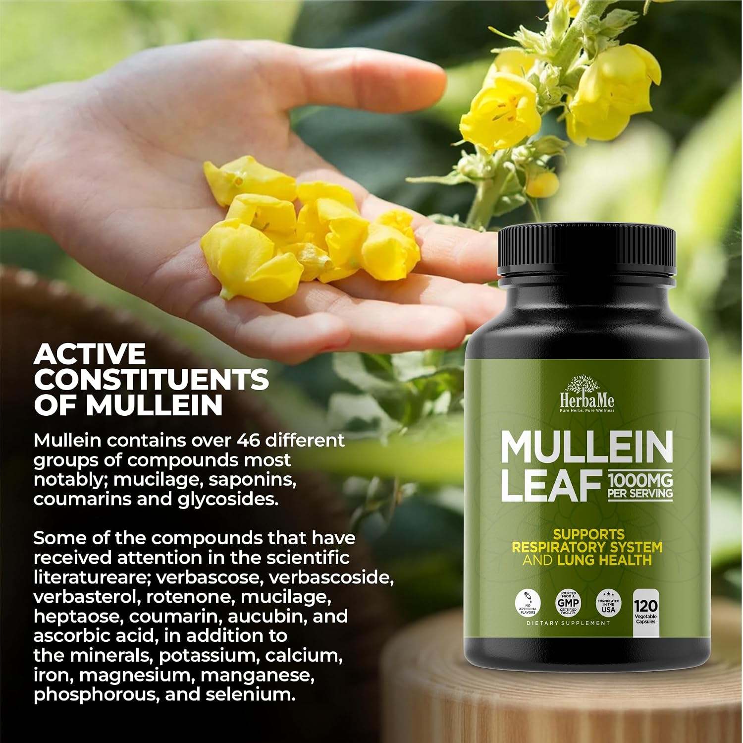 HerbaMe Mullein Leaf 1000mg, 120 Capsules - Daily Respiratory Support Supplement, Supports Breathing Comfort & Mucus Balance, Herbal Lung Support for Smokers, Men & Women - PrimeBioHealth - canada supplements